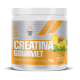 Creatina Gourmet Abacaxi C/ Hortelã 300g Health Labs 