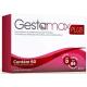 Gestamax Plus 60 Capsulas